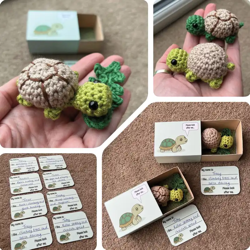 Matchbox Pet Tortoise Crochet Pattern - Digital Download Original