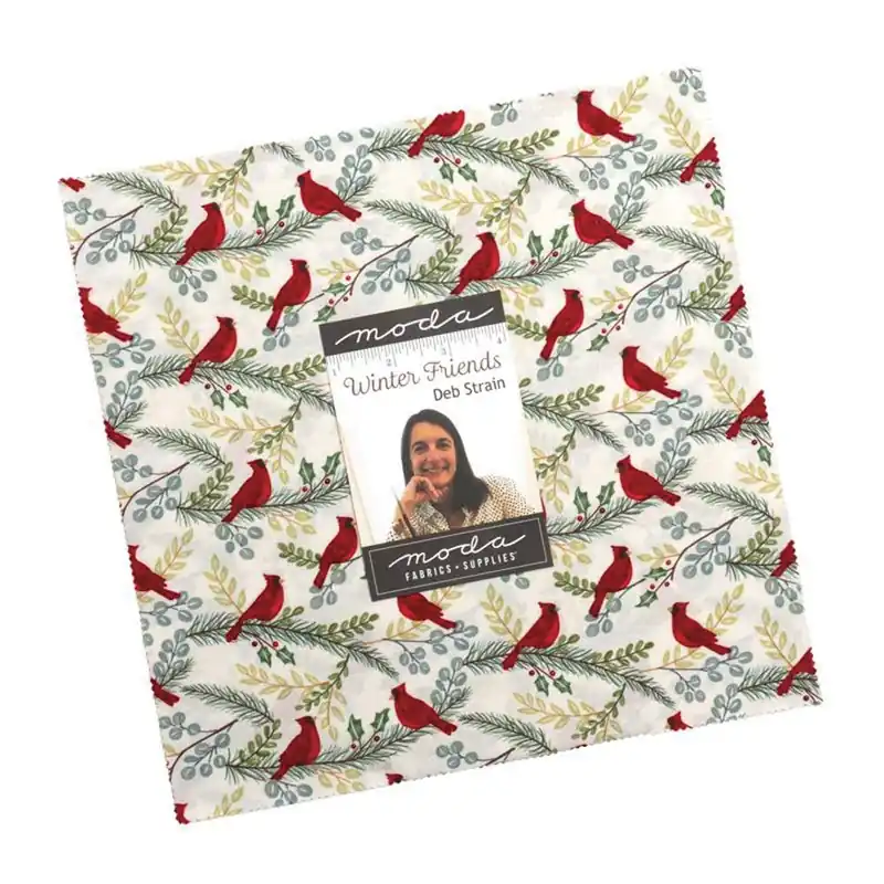 Winter Friends 10" Square Fabric Pack 42 Count Super Sale