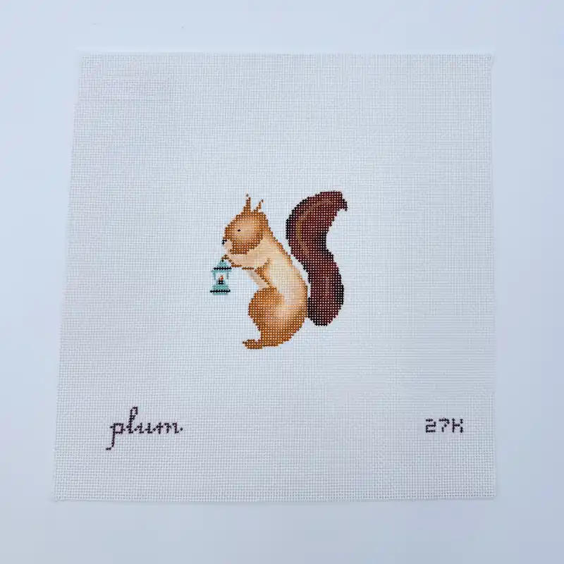 Popular Squirrel Canvas