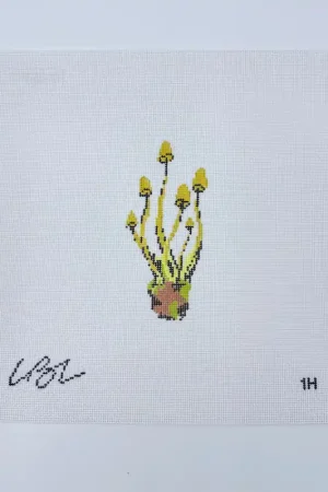 Honey Mushroom Canvas Editor’s Pick