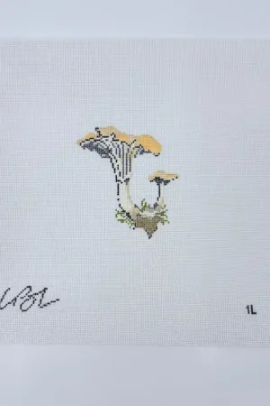 Top Pick Chanterelle Mushroom Canvas