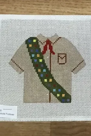 Boy Scouts Pullover Express Delivery