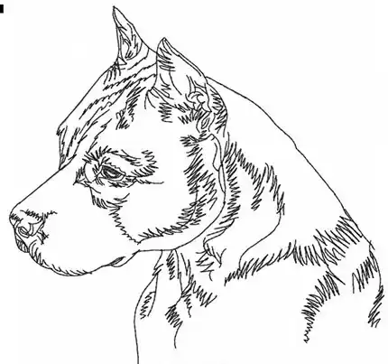 Pit Bull Outline Embroidery Design Get Yours