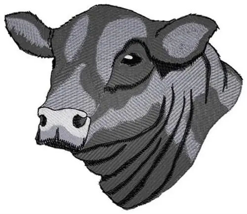 Black Angus Head Embroidery Design Price Cut