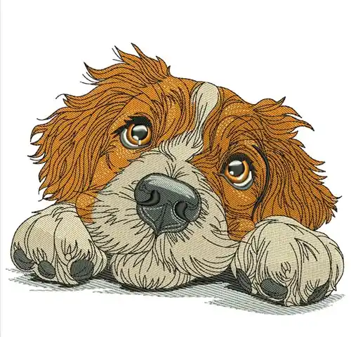 In Demand Nova Scotia Duck Toiler Dog Embroidery Design