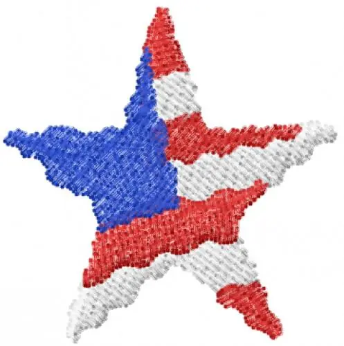USA Star 1 Embroidery Design Instant Buy