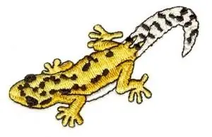Gekko Embroidery Design Best Price
