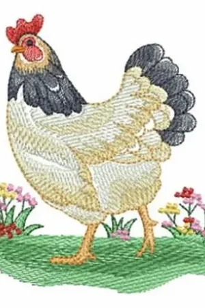 Chicken Embroidery Design Popular