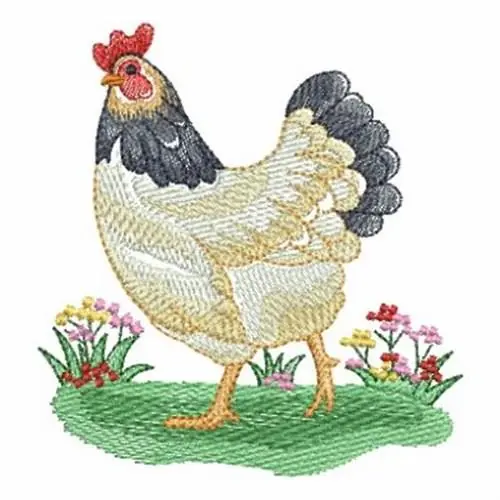 Chicken Embroidery Design Popular