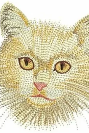 Cats Embroidery Design Warranty Included