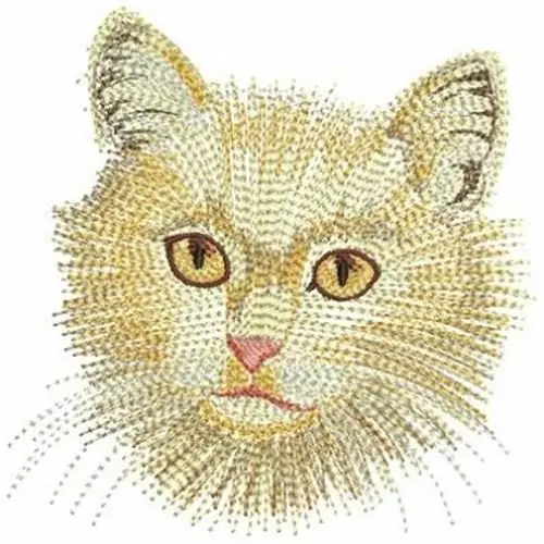 Cats Embroidery Design Warranty Included