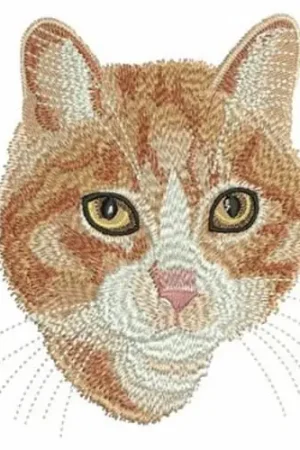 Cats Embroidery Design Fast Shipping