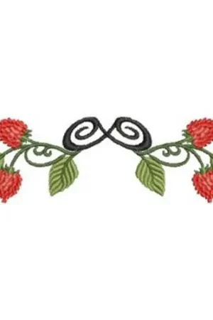 Cheap Raspberries Embroidery Design