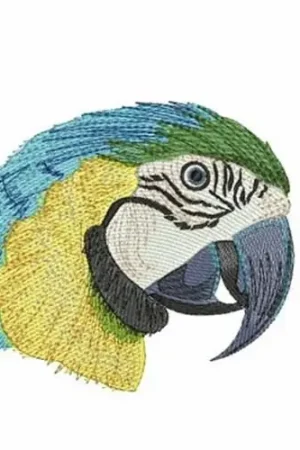 Blue and Gold Macaw Embroidery Design Limited Time