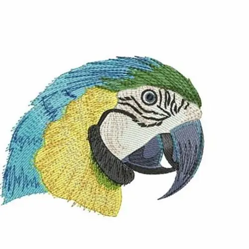 Blue and Gold Macaw Embroidery Design Limited Time