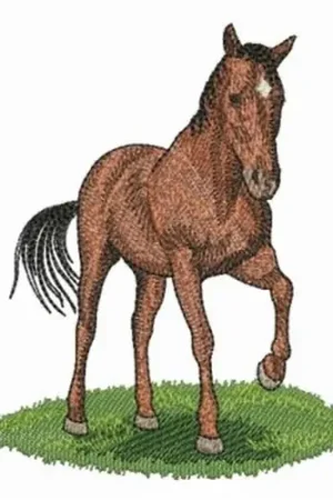 Best Seller Thoroughbred Embroidery Design