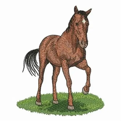 Best Seller Thoroughbred Embroidery Design