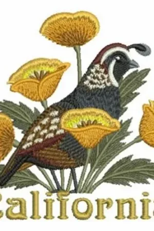 California Bird & Flower Embroidery Design Big Sale