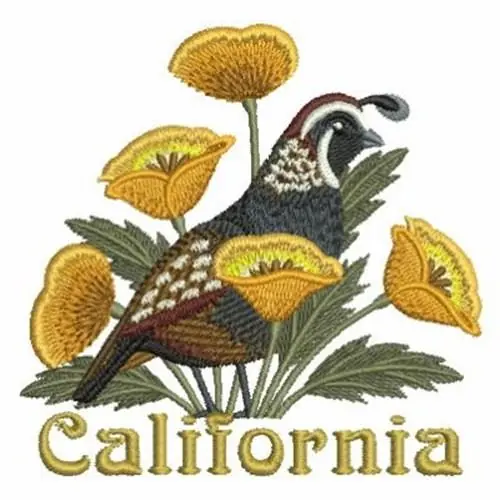 California Bird & Flower Embroidery Design Big Sale