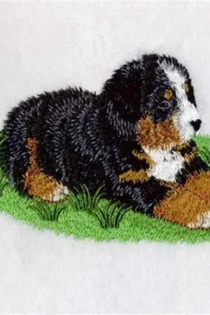 Bernese Puppy Embroidery Design Original