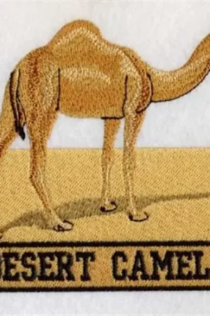 African Camel Embroidery Design Instant Buy