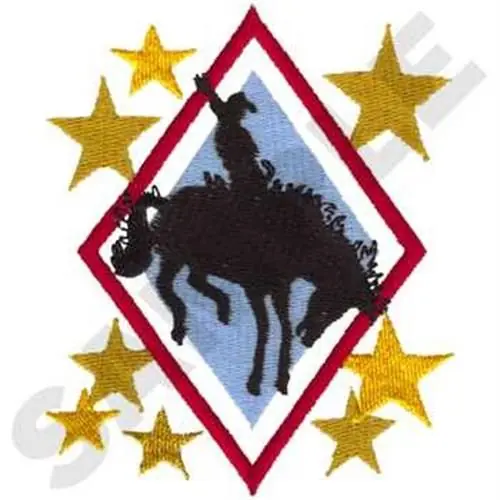Express Delivery Bronc Rider In Diamond Embroidery Design