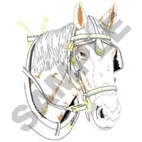 Clydesdale Head Embroidery Design Fresh Stock