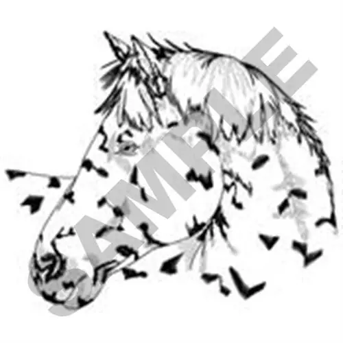 Appaloosa Head Embroidery Design Get Yours