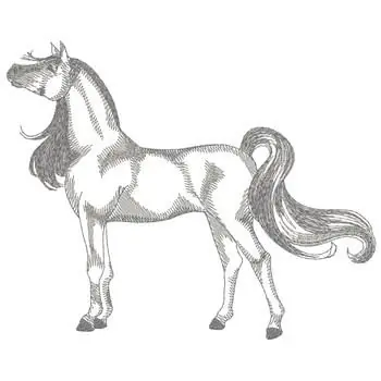 Bargain Arabian Horse Sketch Embroidery Design