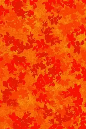 Trusted Brand Verona Abstract Texture in Orange with Free $89.99 Bundle