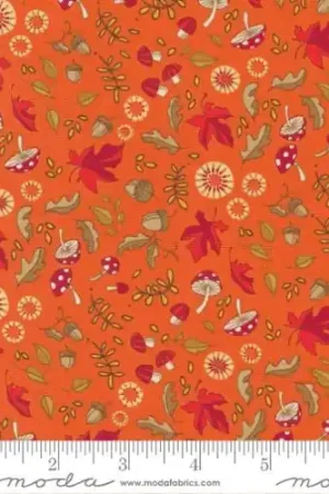Free Shipping Forest Frolic Little Fall Fling in Orchard Orange with Free $89.99 Bundle