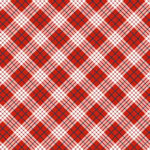 Get Yours Bundle-Up Bias Plaid in Red with Free $89.99 Bundle
