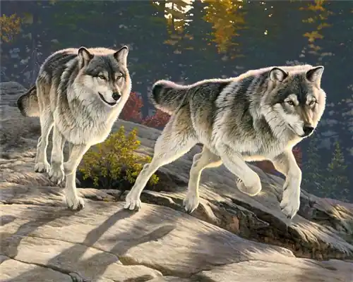 Wilderness Scenery Charge Light Brigade Wolf Panel 36" in Multi with Free $89.99 Bundle Mega Sale