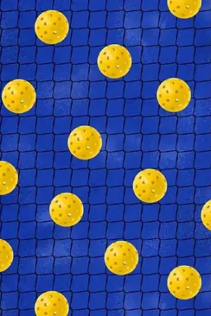Budget Pickleball Anyone? Pickleballs on Net in Blue with Free $89.99 Bundle