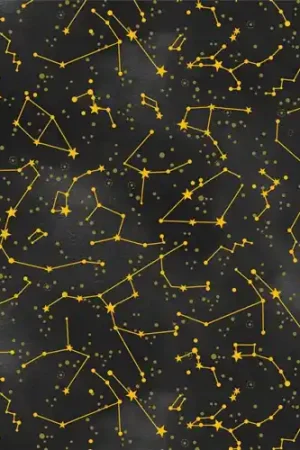 Celestial Galaxy Constellation Allover in Black with Free $89.99 Bundle Luxury