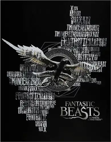 Fantastic Beast Wizarding World 36x44 inches Panel with Free $89.99 Bundle Today Only