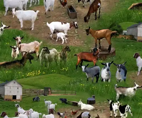 Special Offer Goats Sheep Barns Farm Animals in Green with Free $89.99 Bundle