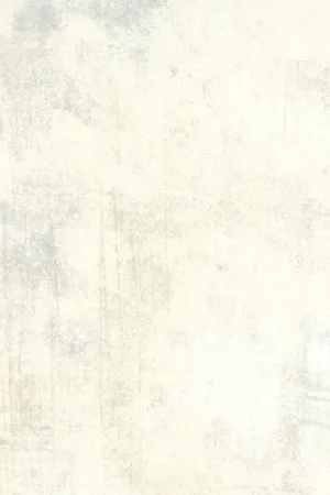 Best Choice Grunge Basics Wide Backing in Creme with Free $89.99 Bundle