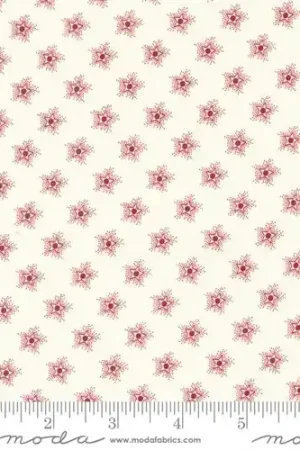 American Gatherings II Star Sparkling in Dove Heart Cream with Free $89.99 Bundle Wholesale