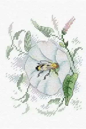 Freshness Counted Cross Stitch Kit Editor’s Pick