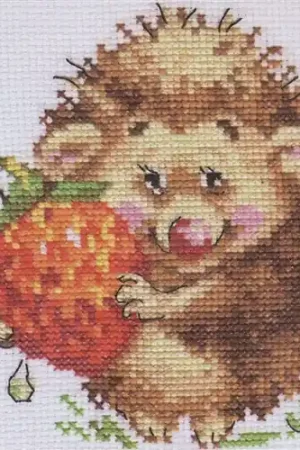 Hedgehog & Strawberry Counted Cross-Stitch Kit Sale