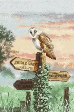 Top Pick Barn Owl Cross Stitch Kit