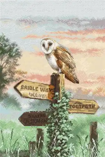 Top Pick Barn Owl Cross Stitch Kit