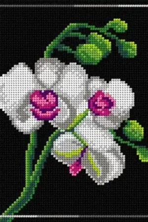 Needlepoint Canvas For Halfstitch W/O Yarn Orchid Editor’s Pick