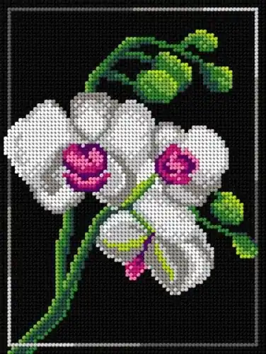 Needlepoint Canvas For Halfstitch W/O Yarn Orchid Editor’s Pick