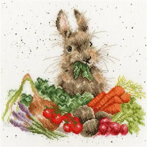 Grow Your Own Cross Stitch Kit Next Day Delivery