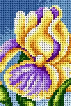 Iris Needlepoint Canvas For Halfstitch W/O Yarn Place Order