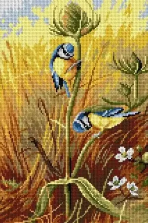 Bluetits On A Teasel Needlepoint Canvas For Halfstitch W/O Yarn Flash Sale