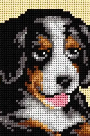 Crafted Needlepoint Canvas For Halfstitch W/O Yarn - Bernese Mountain Dog