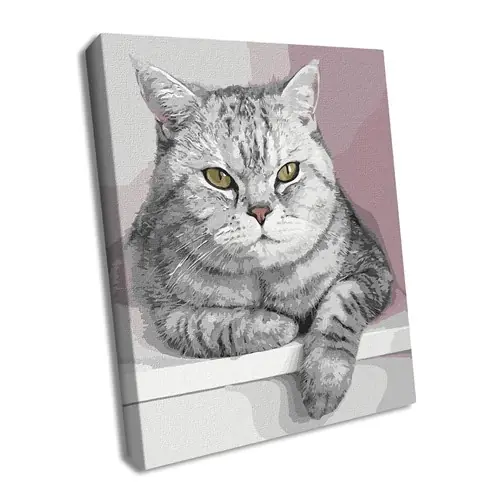 Affordable Paint By Numbers Kit My Furry Friend